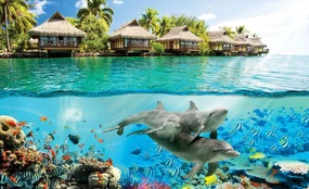 Fototapet - Delfini la Hawai (152,5x104 cm), în 8 de alte dimensiuni noi