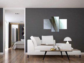 Tablou - Pene, macro (90x60 cm)