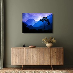 Tablou - Cerul de noapte din Nepal (90x60 cm)
