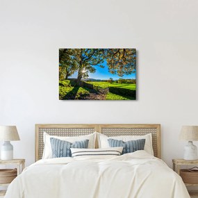 Tablou Privire la câmp (90x60 cm)