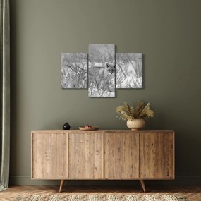 Tablou - Vulpe,alb-negru (90x60 cm)