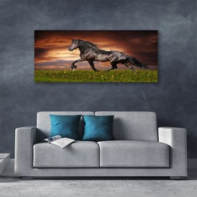 Tablou pe panza canvas Black Horse Meadow Animale Negru Verde Roșu