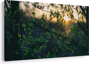 Tablou - Soarele strălucind printre crengile copacilor (90x60 cm)