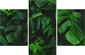 Tablou cu frunze Monstery (90x60 cm)