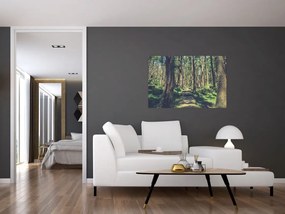 Tablou cu drum între copaci (90x60 cm)