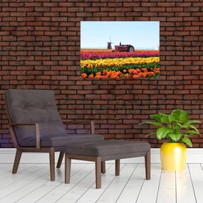 Tablou cu farma de lalele (70x50 cm)
