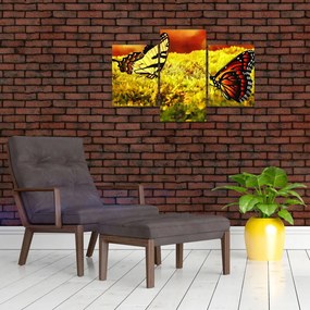 Tablou cu fluturi (90x60 cm)