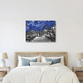 Tablou pe sticlă - Copaci albaștri Central Park, New York (70x50 cm)