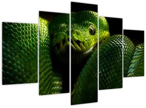 Tablou - Șarpele verde (150x105 cm)