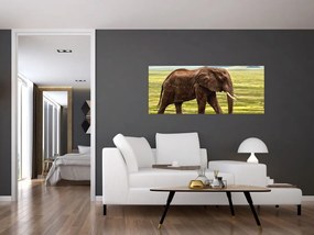 Tablou - Elefantul (120x50 cm)