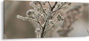 Tablou - Plantează în îngheț (120x50 cm)