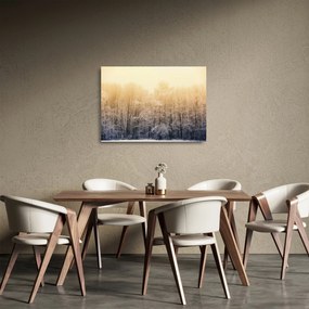 Tablou pe sticlă cu pădure geroasă (70x50 cm)