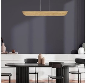 Hinkley HK-ARCO-LED-LP-117-HB - Candelabru LED ARCO suspendat pe cablu, 43W, 230V, 3000K, finisaj auriu