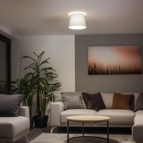 Brilagi - Lustră aplicată LED CERIA, 1xE27/40W/230V, Ø 30 cm, gri