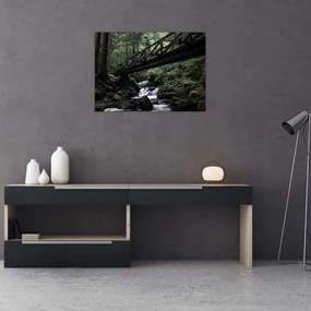 Tablou pe sticlă din pădurea neagră (70x50 cm)