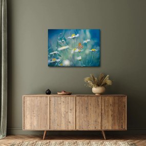 Tablou - Fluture pe margaretă (70x50 cm)