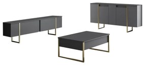 Dulap Luxe Anthracite and Gold