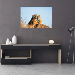Tablou - Tigroaica cu pui (90x60 cm)