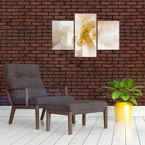 Tablou - Floare (90x60 cm)