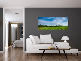 Tablou cu luncă (120x50 cm)