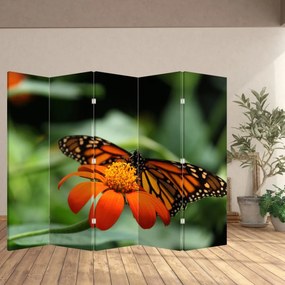 Paravan - Fluture pe floare (210x170 cm)
