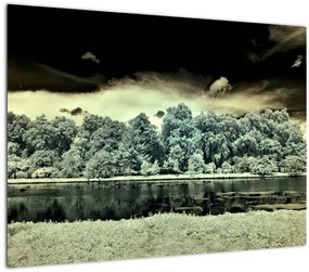 Tablou pe sticlă suprafeței de apă (70x50 cm)