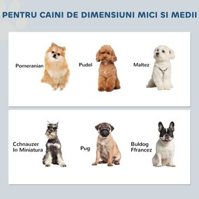PawHut 2 Boluri Înălțate din Oțel Inoxidabil pentru Câini, Gri | Aosom Romania