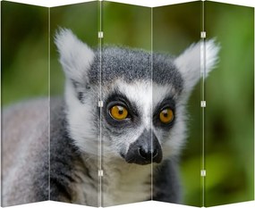 Paravan - Lemur (210x170 cm)