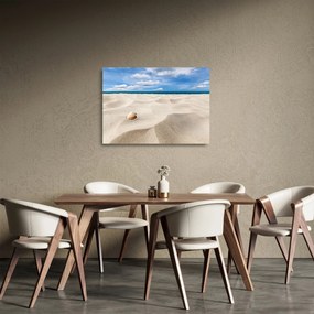 Tablou pe sticlă - Scoici pe plajă (70x50 cm)