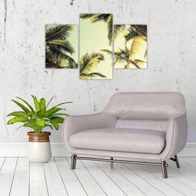 Tablou - Palmieri de cocos (90x60 cm)