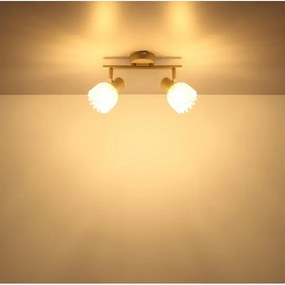 Globo PLANTA 54317-2 - Lampă spot 2xE14/40W/230V