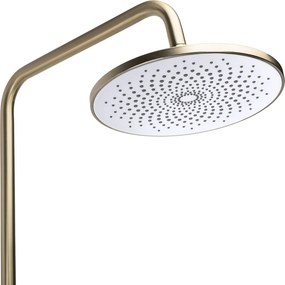 Set dus Rea Foss Clif Brush Gold