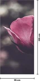 Fototapet pentru ușă - floare în prim plan (95x205cm)