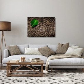Tablou pe sticlă cu frunză pe trunchi de copac (70x50 cm)