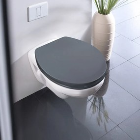 Capac WC 37 x 44,5 cm Easy-Close (cu închidere automată) Ostuni – Wenko