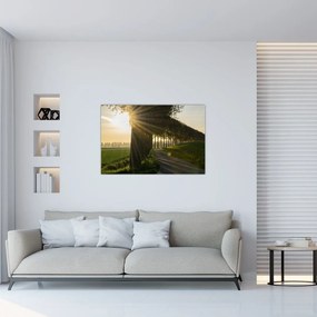 Tablou cu alee (90x60 cm)