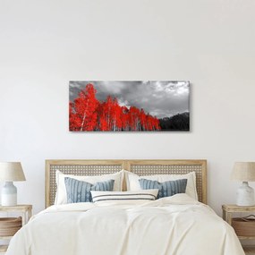 Tablou - Copaci în culorile toamnei (120x50 cm)