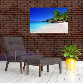 Tablou cu plaja pe insula Praslin (90x60 cm)