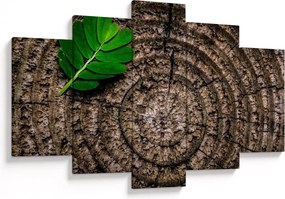 Tablou cu frunză pe trunchi de copac (150x105 cm)