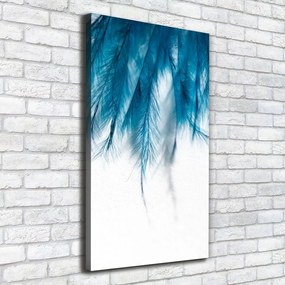 Tablou pe pânză canvas Pene albastre
