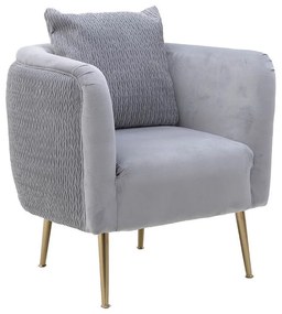 Fotoliu Grey Gold Velvet 76cm x 74cm x 72cm