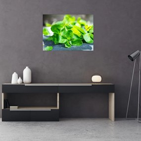Tablou pe sticlă metnă (70x50 cm)