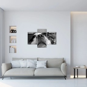 Tablou cu câine (90x60 cm)