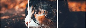 Tablou - Privirea pisicii (cu ceas) (90x30 cm)