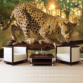 Fototapet - Jaguar Forest Woods (254x184 cm)