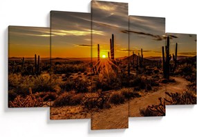 Tablou - Sfărșit de zi în deșertul Arizona (150x105 cm)