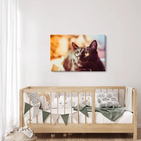 Tablou pisica neagră (90x60 cm)