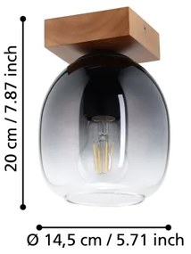 Plafonieră FILAGO Eglo 900825 1xE27/40W/230V