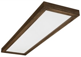 Plafonieră LED dimabilă Brilagi WOODY FRAME LED/50W/230V stejar 120x30 cm IP44 + telecomandă