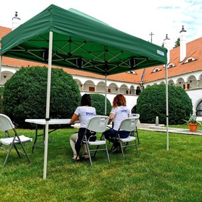 Scaune pliante - 2 buc -